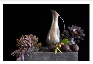 Shades of Aubergine’ explores form and links the defined lines of a pewter jug and the soft leathery leaves of the succulents.